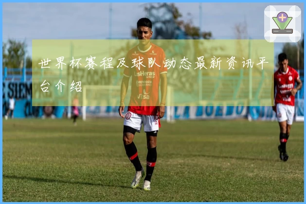 世界杯赛程及球队动态最新资讯平台介绍