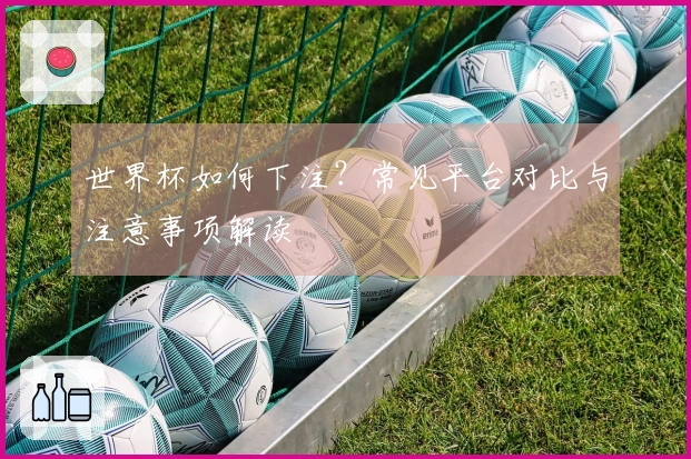 世界杯如何下注？常见平台对比与注意事项解读
