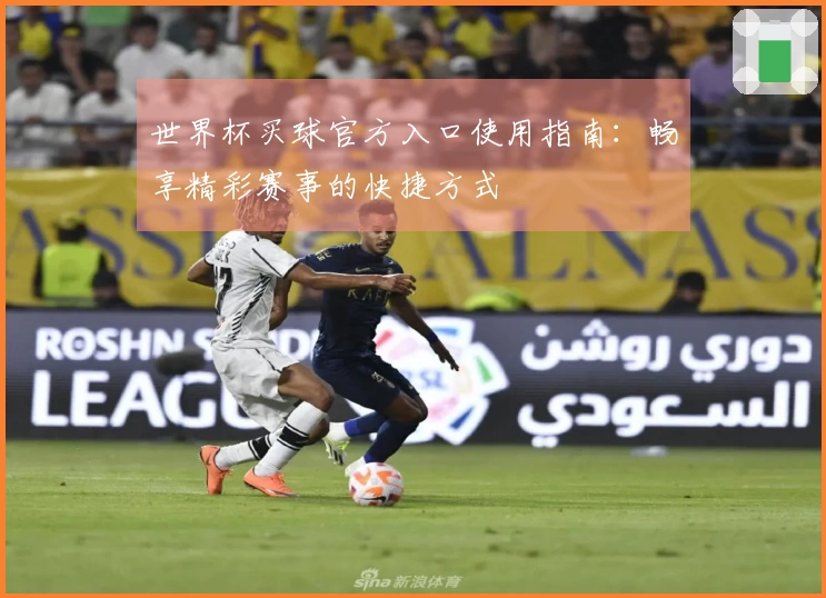世界杯买球官方入口使用指南：畅享精彩赛事的快捷方式