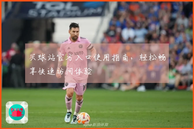 买球站官方入口使用指南,轻松畅享快速访问体验