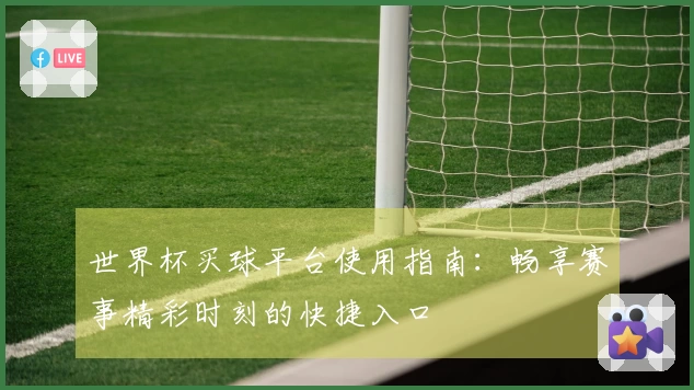 世界杯买球平台使用指南：畅享赛事精彩时刻的快捷入口