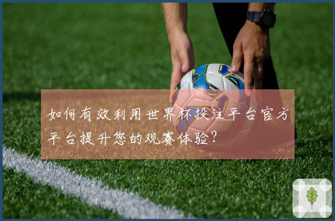 如何有效利用世界杯投注平台官方平台提升您的观赛体验？