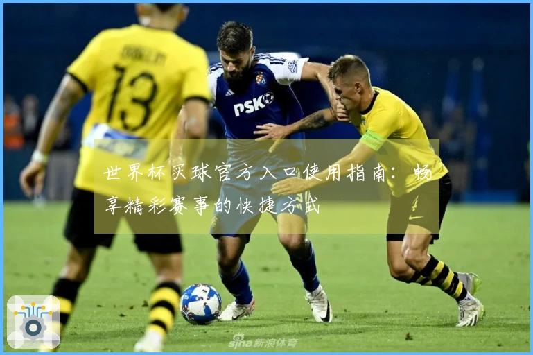 世界杯买球官方入口使用指南:畅享精彩赛事的快捷方式