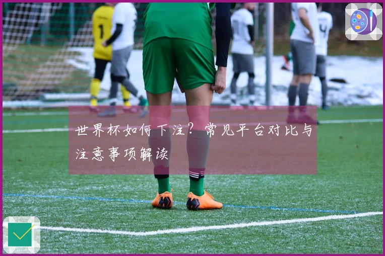 世界杯如何下注?常见平台对比与注意事项解读