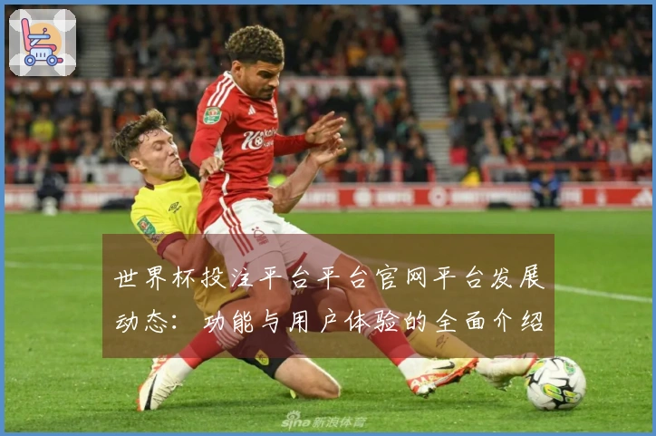 世界杯投注平台平台官网平台发展动态：功能与用户体验的全面介绍