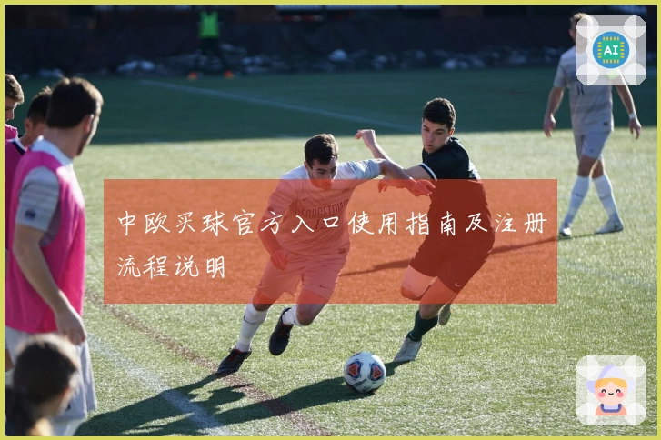 中欧买球官方入口使用指南及注册流程说明