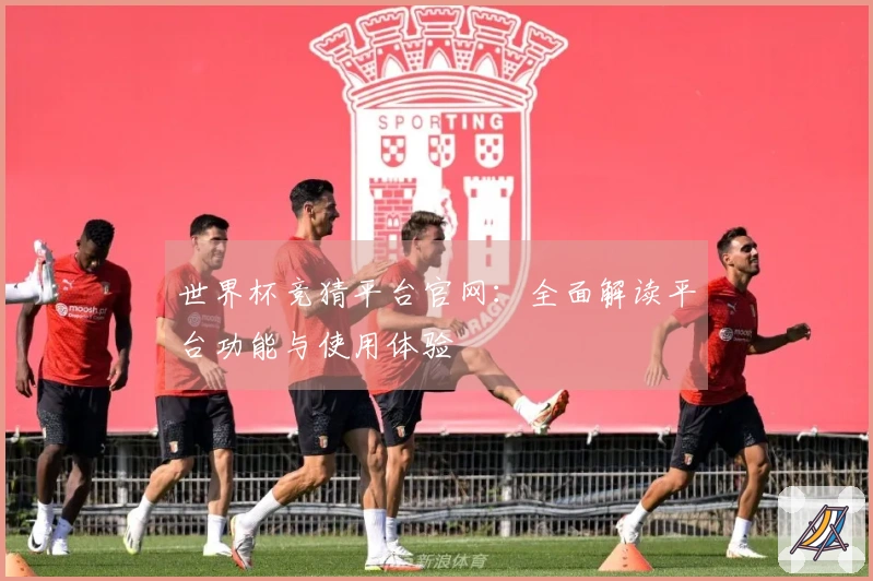 世界杯竞猜平台官网：全面解读平台功能与使用体验