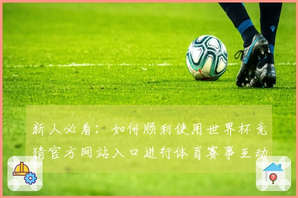 新人必看：如何顺利使用世界杯竞猜官方网站入口进行体育赛事互动