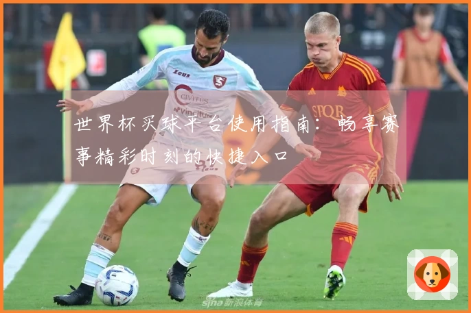 世界杯买球平台使用指南:畅享赛事精彩时刻的快捷入口